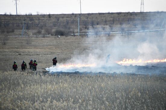 Russia Landscape Fires