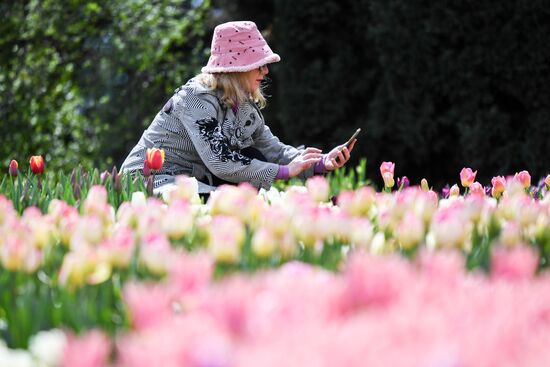 Russia Environment Tulips Exhibition