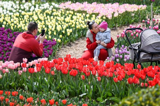 Russia Environment Tulips Exhibition