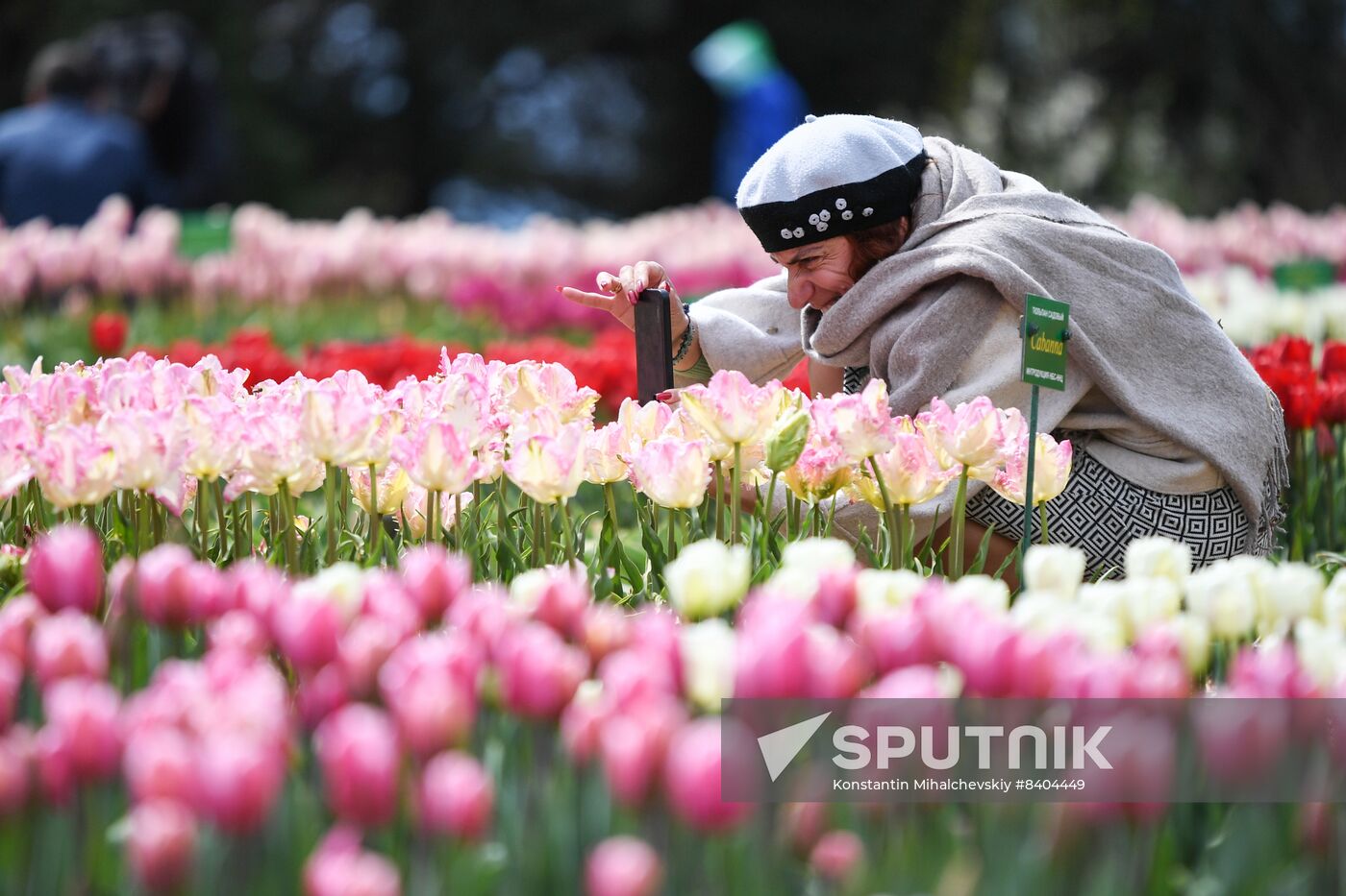 Russia Environment Tulips Exhibition