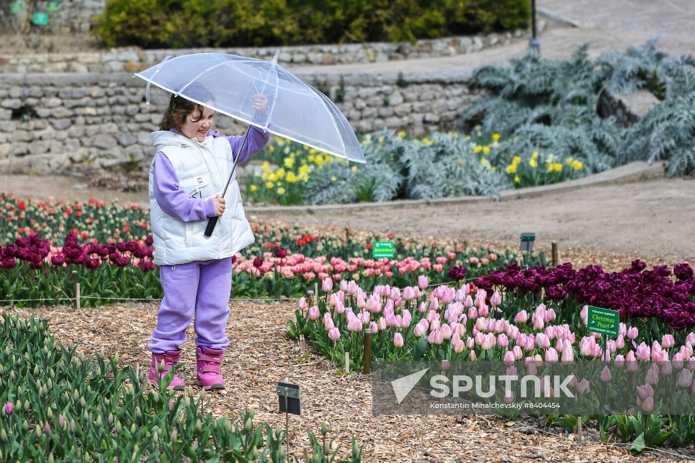 Russia Environment Tulips Exhibition