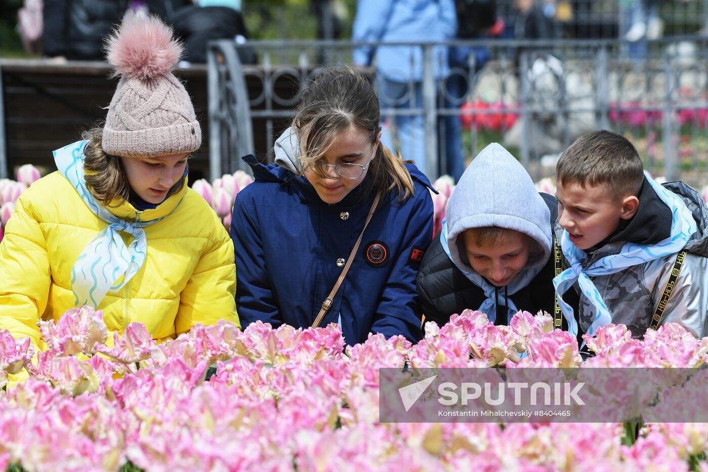 Russia Environment Tulips Exhibition