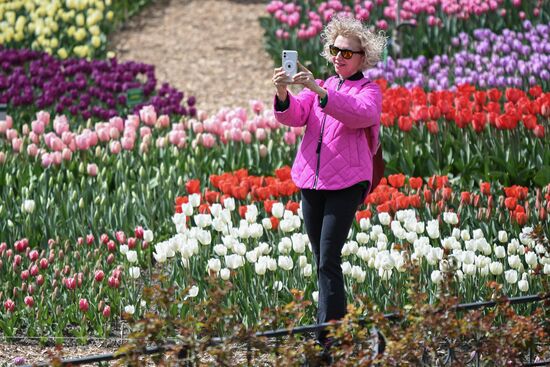Russia Environment Tulips Exhibition