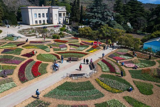 Russia Environment Tulips Exhibition