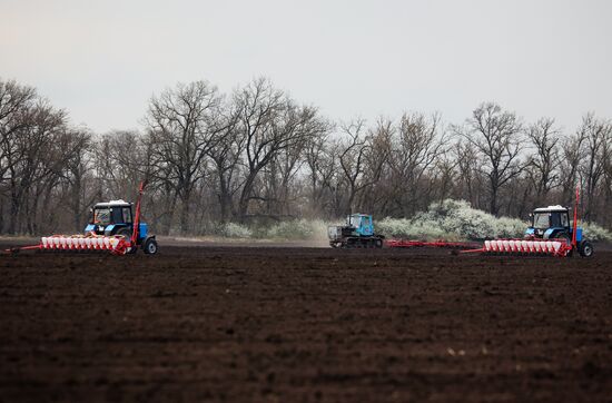 Russia Agriculture Sowing