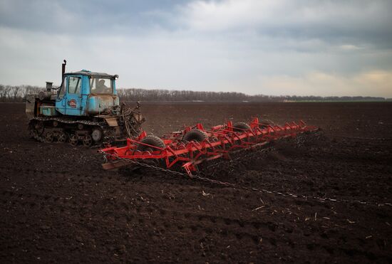 Russia Agriculture Sowing