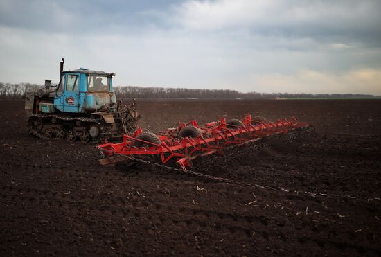 Russia Agriculture Sowing