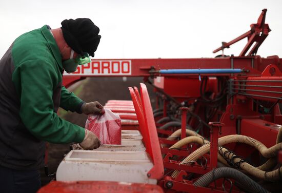 Russia Agriculture Sowing