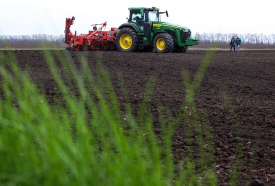 Russia Agriculture Sowing