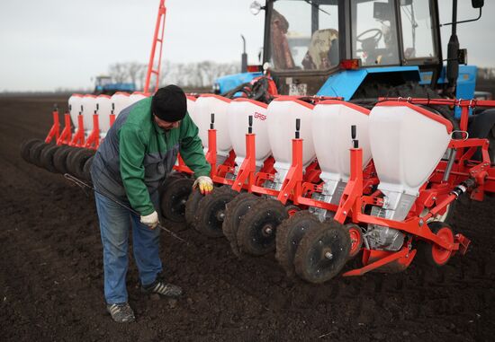 Russia Agriculture Sowing