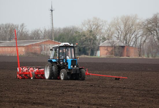 Russia Agriculture Sowing