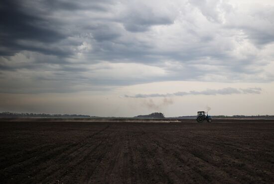 Russia Agriculture Sowing