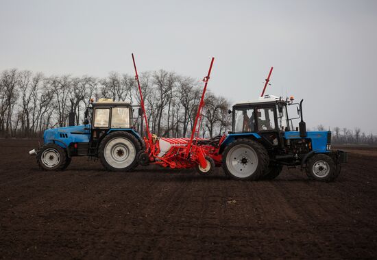 Russia Agriculture Sowing