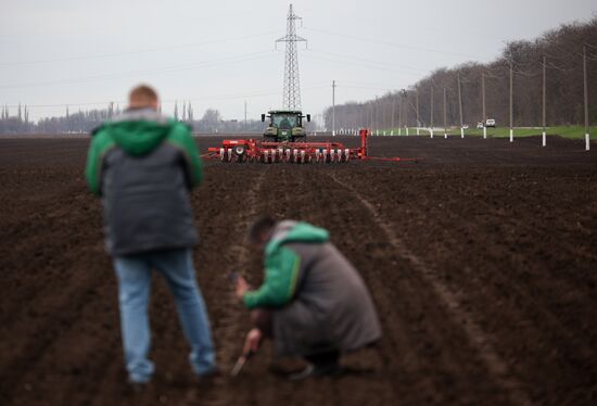 Russia Agriculture Sowing