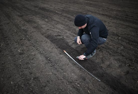 Russia Agriculture Sowing