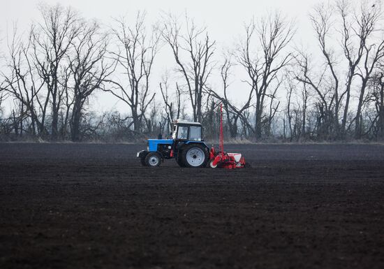 Russia Agriculture Sowing