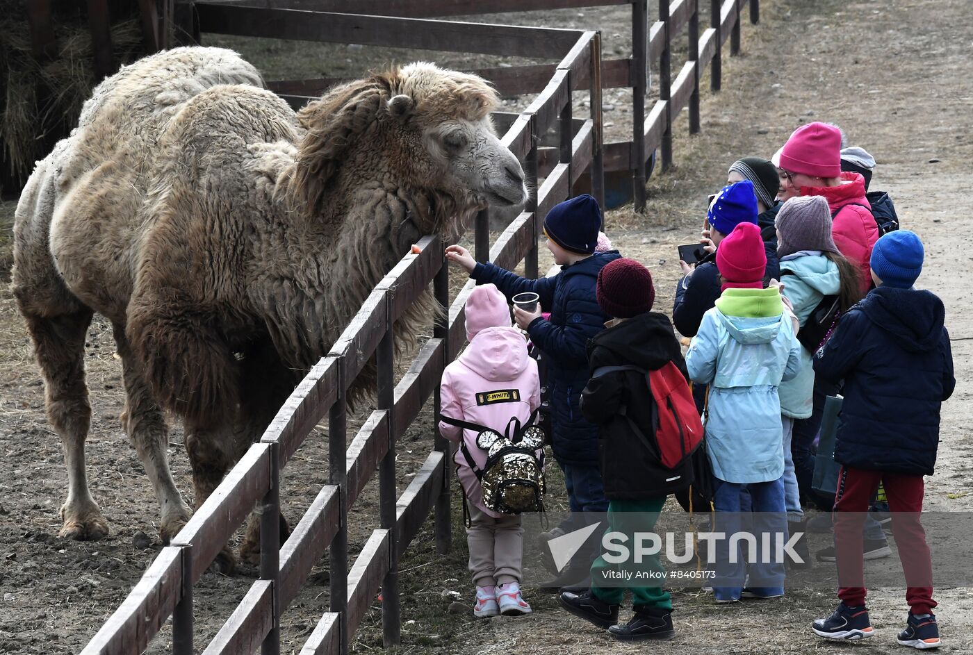 Russia Zoo