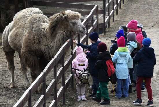 Russia Zoo