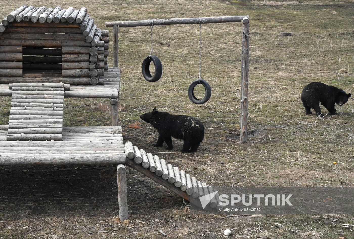 Russia Zoo