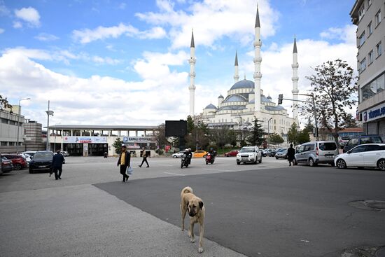 Turkey Daily Life