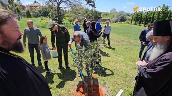 Olive trees planted in Jaffa in memory of Great Patriotic War heroes