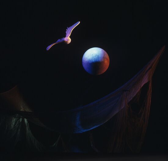 Scene from Flame of Hope