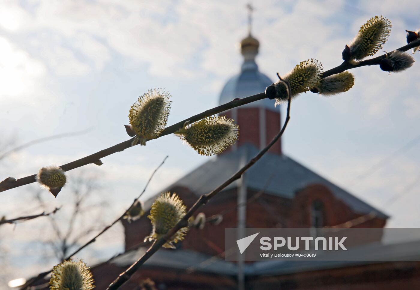 Russia Religion Orthodox Palm Sunday