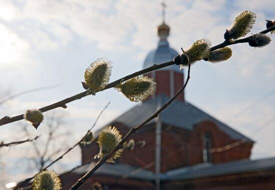 Russia Religion Orthodox Palm Sunday