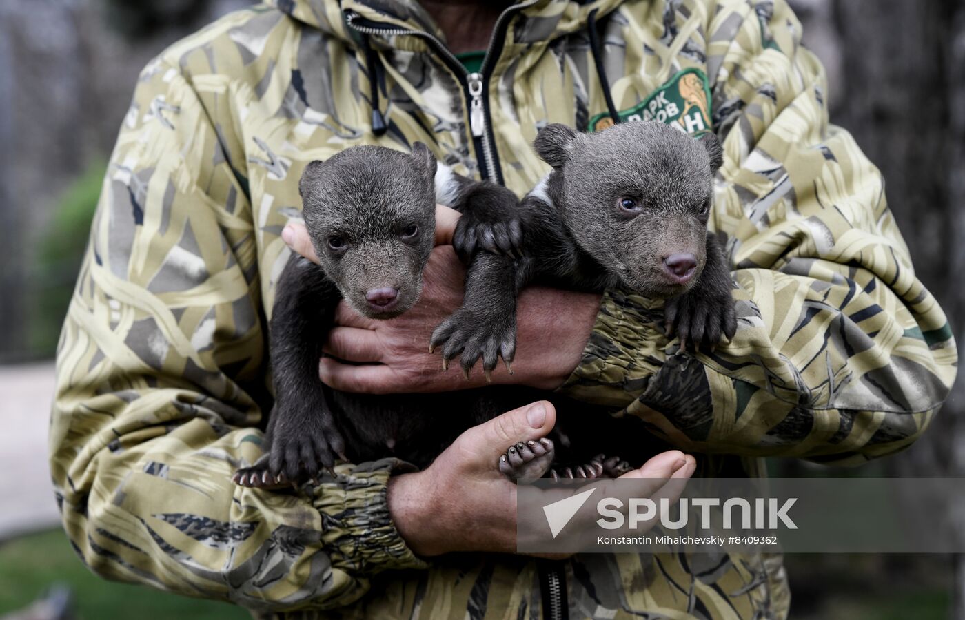 Russia Zoo
