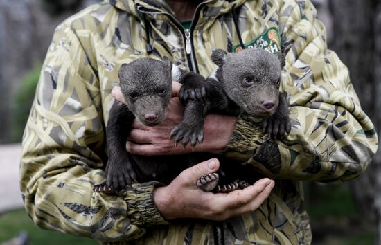 Russia Zoo