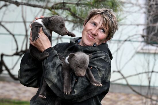 Russia Zoo