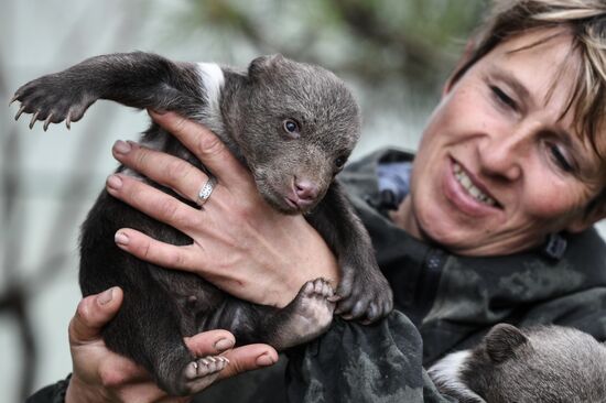 Russia Zoo