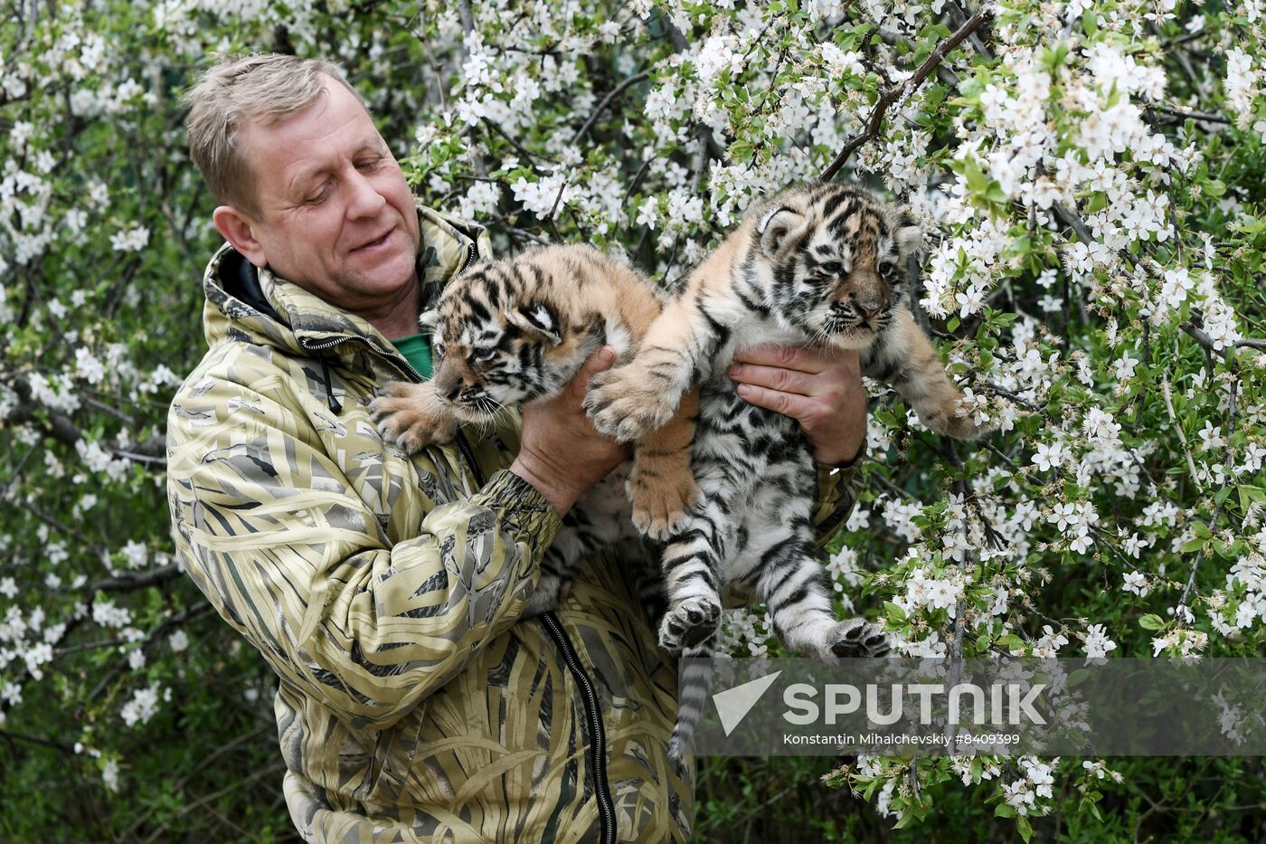 Russia Zoo