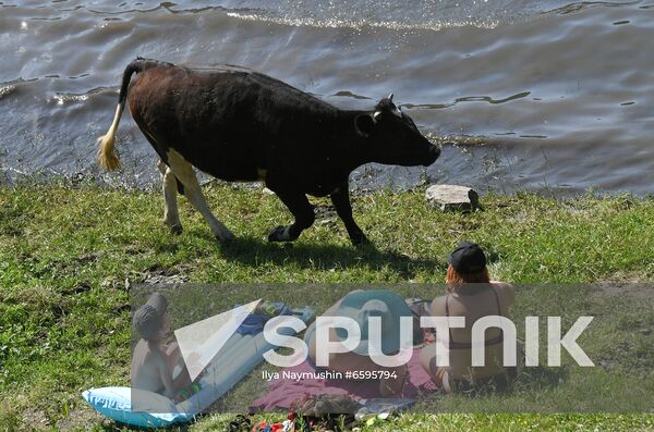 Russia Summer