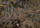 An aerial view shows the preparatory work at a construction site outside the Siberian city of Novosibirsk, Russia. Location: Novosibirsk. Author: Alexandr Kryazhev/Sputnik. Russia Daily Life