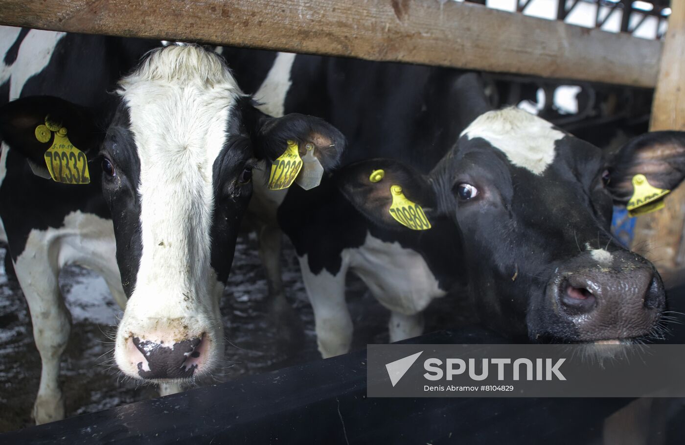 Russia Agriculture | Sputnik Mediabank