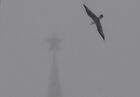 A bird flies near the Kremlin's tower during a heavy snowfall in Moscow, Russia. Location: Moscow. Author: Kirill Kallinikov/Sputnik. Russia Weather