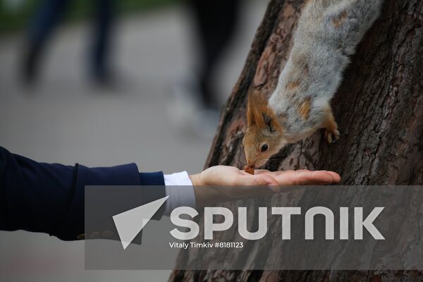 Russia Daily Life