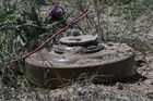 An anti-tank mine found by sappers of one of the engineering brigades of the Russian troops during the clearance of the area of the Arabat Spit, which connects Crimea with the Kherson region along the Sea of Azov, is seen, in Kherson region, Ukraine. Location: Ukraine, Kherson region. Author: RIA Novosti/Sputnik. Ukraine Russia Military Operation Demining