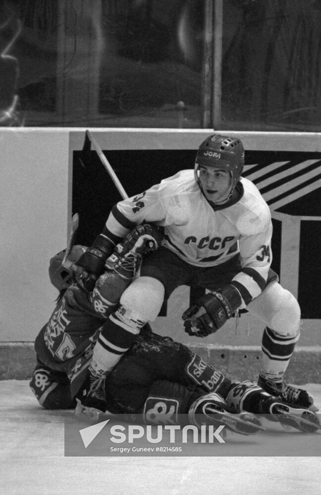 Hockey player Vladimir Tyurikov | Sputnik Mediabank