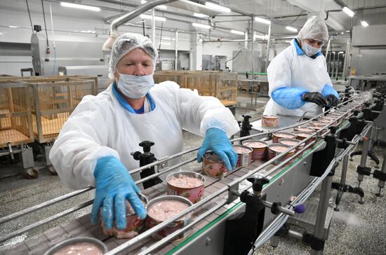 Russia Food Industry | Sputnik Mediabank