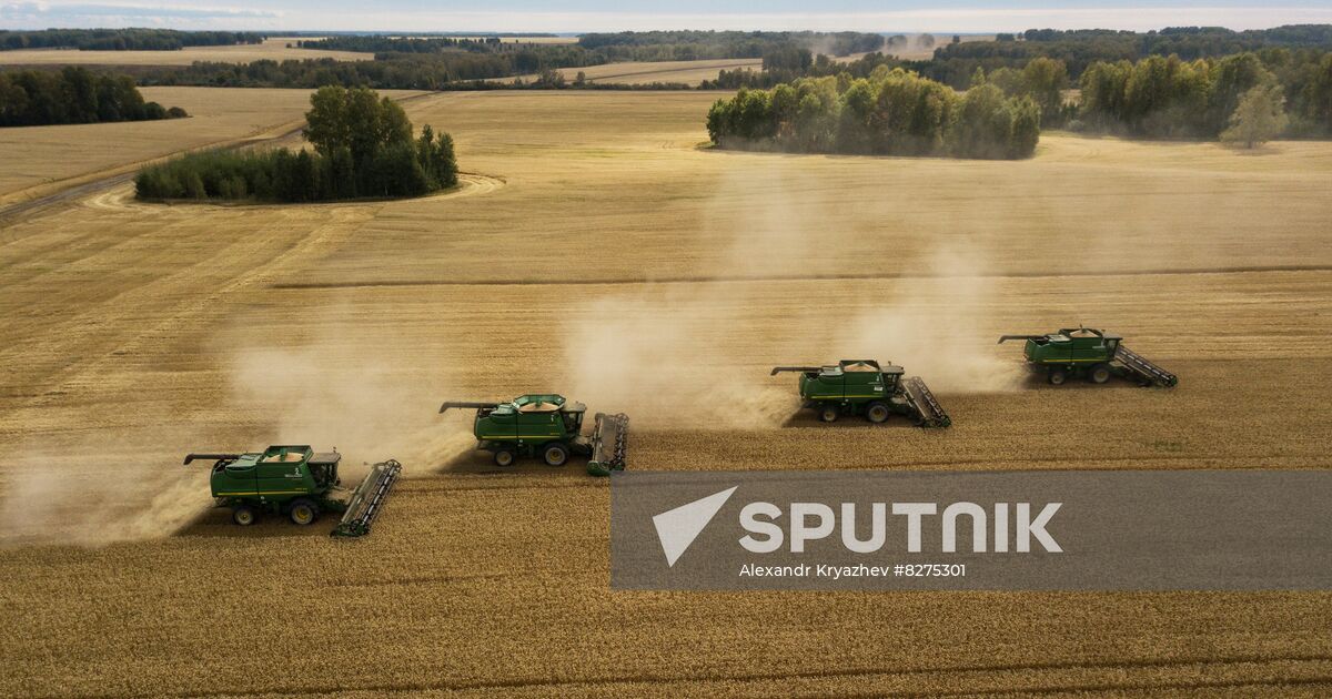 Russia Agriculture Harvesting Sputnik Mediabank