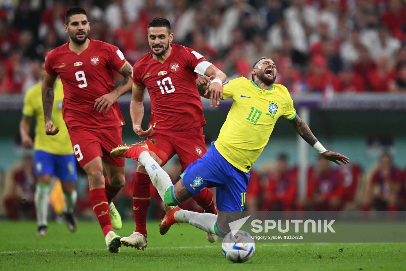 qatar-soccer-world-cup-brazil-serbia-sputnik-mediabank
