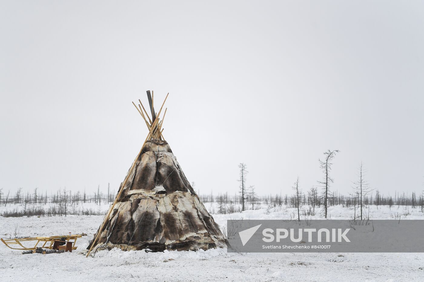 Russia Siberia Reindeer Breeder's Camp