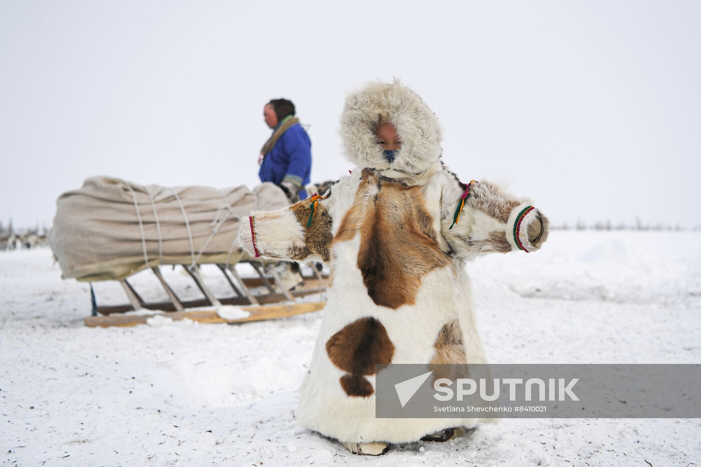 Russia Siberia Reindeer Breeder's Camp