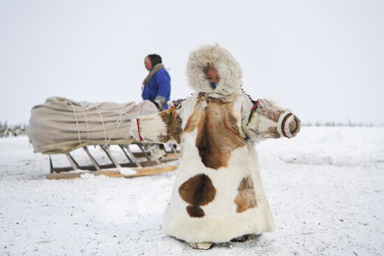 Russia Siberia Reindeer Breeder's Camp