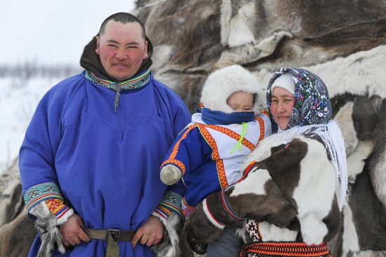 Russia Siberia Reindeer Breeder's Camp