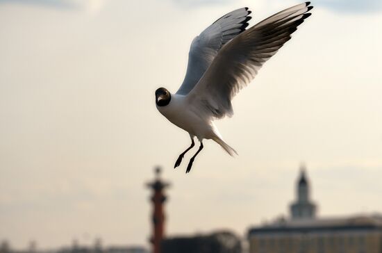 Russia Daily Life