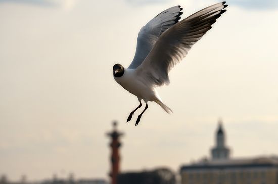 Russia Daily Life