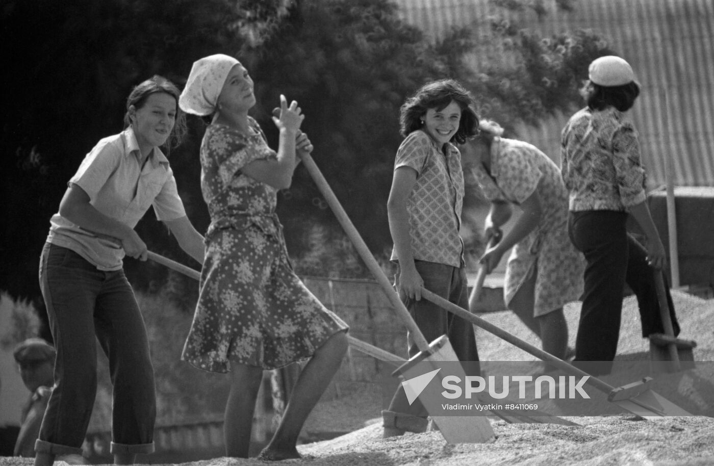 Communist Collective Farm in Cherkasy Region